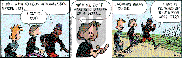 Frazz on Saturday November 13, 2010 Comic Strip