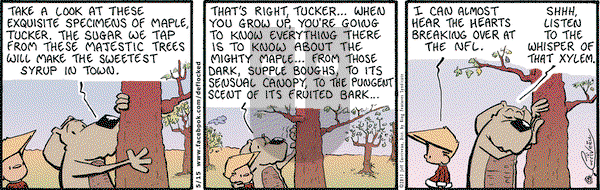 DeFlocked on Wednesday May 15, 2013 Comic Strip