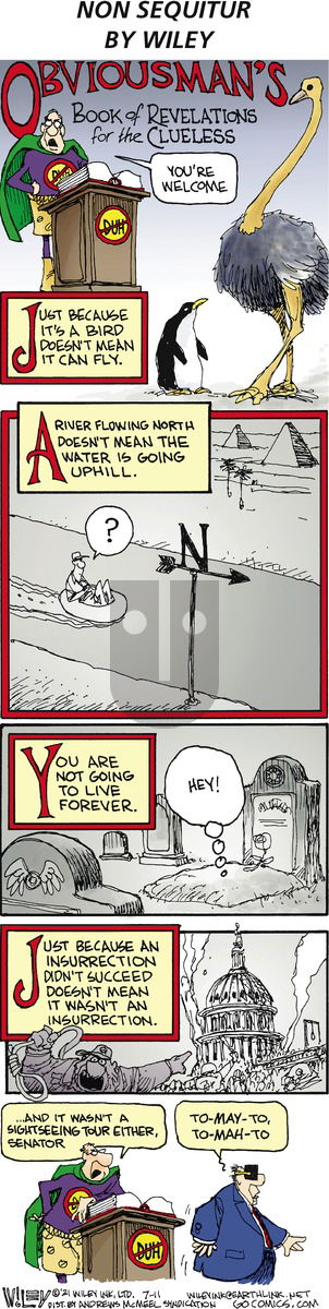 Non Sequitur - Sunday July 11, 2021 Comic Strip