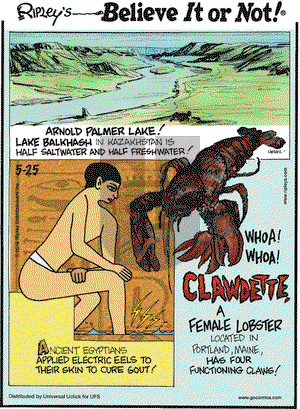 Ripley's Believe It or Not on Wednesday May 25, 2016 Comic Strip