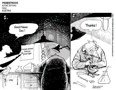 ViewsBusiness on Sunday May 25, 2008 Comic Strip