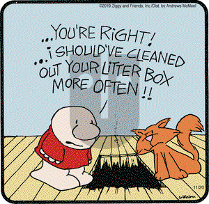 Ziggy on Wednesday November 20, 2019 Comic Strip