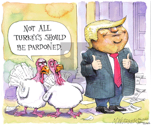 Matt Wuerker on Tuesday November 24, 2020 Comic Strip