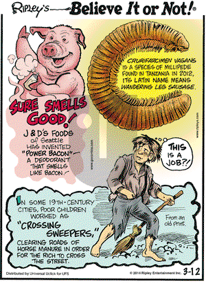 Ripley's Believe It or Not on Wednesday March 12, 2014 Comic Strip