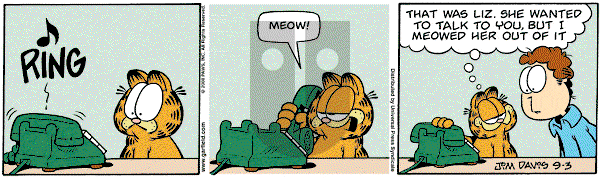 Garfield on Wednesday September 3, 2008 Comic Strip