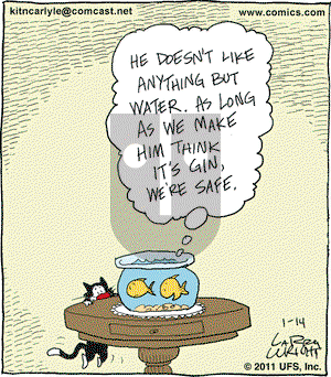 Kit 'N' Carlyle on Friday January 14, 2011 Comic Strip