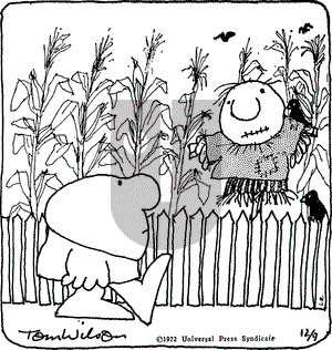 Ziggy on Saturday December 9, 1972 Comic Strip
