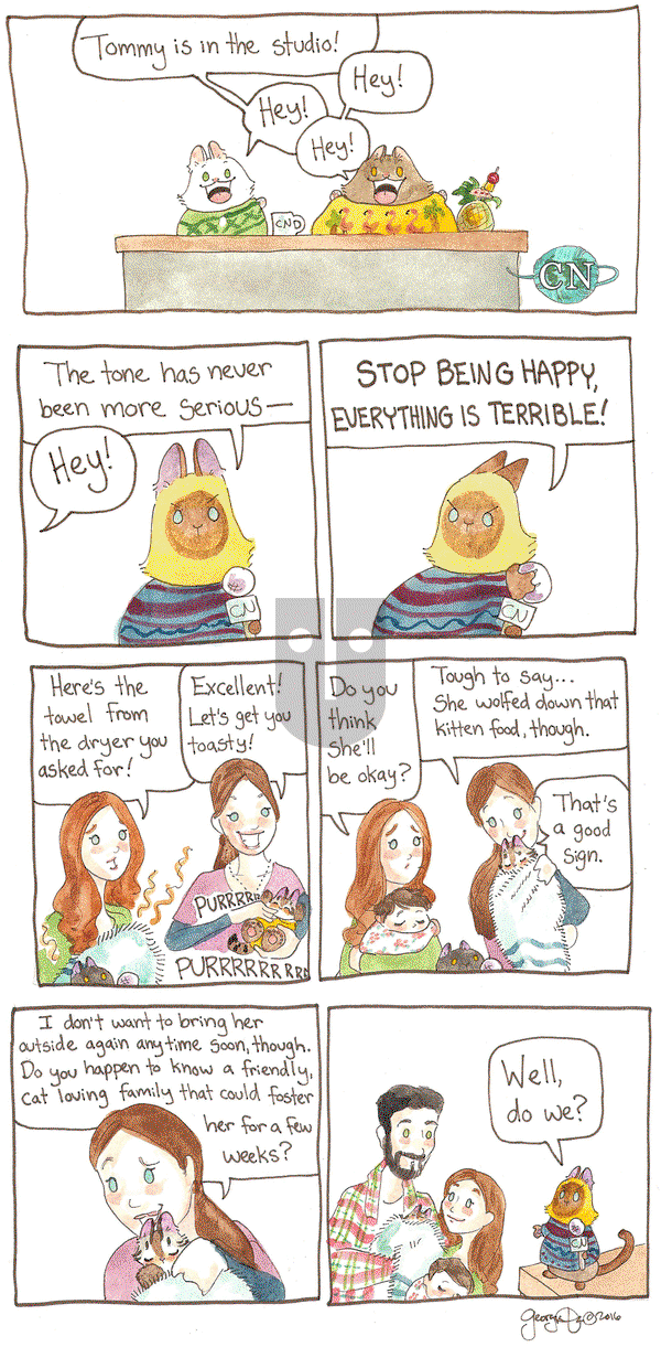 Breaking Cat News on Thursday May 5, 2016 Comic Strip