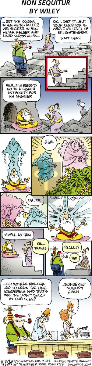 Non Sequitur on Sunday March 22, 2020 Comic Strip