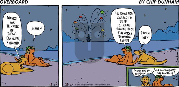 Overboard on Sunday January 1, 2012 Comic Strip