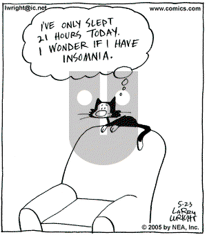 Kit 'N' Carlyle on Monday May 23, 2005 Comic Strip