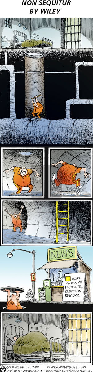 Non Sequitur - Sunday July 24, 2011 Comic Strip