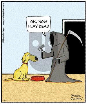 Half Full - Monday November 11, 2013 Comic Strip