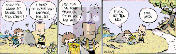 Wallace the Brave on Tuesday August 1, 2017 Comic Strip