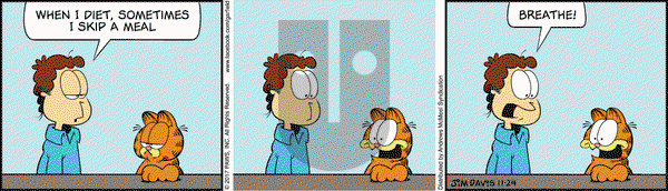 Garfield on Friday November 24, 2017 Comic Strip