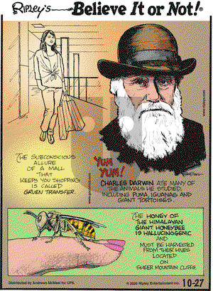Ripley's Believe It or Not on Tuesday October 27, 2020 Comic Strip