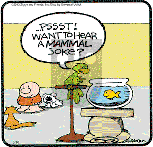 Ziggy on Saturday March 16, 2013 Comic Strip