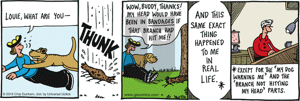Overboard on Tuesday May 31, 2016 Comic Strip