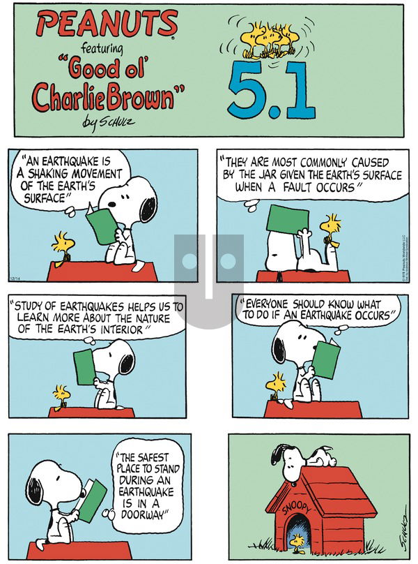 Peanuts on Sunday December 14, 2025 Comic Strip