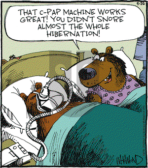 Reality Check on Saturday May 26, 2018 Comic Strip