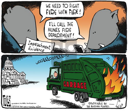 Tom Toles on Sunday November 24, 2019 Comic Strip