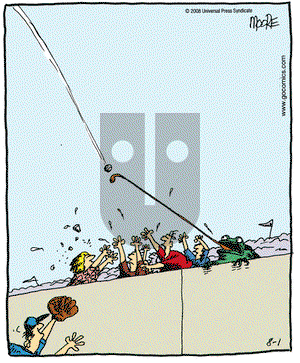 In the Bleachers on Friday August 1, 2008 Comic Strip