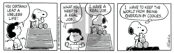 Peanuts on Monday July 29, 1991 Comic Strip