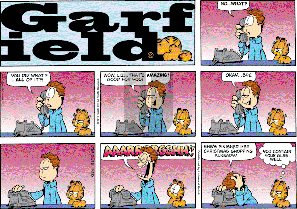 Garfield on Sunday November 28, 2010 Comic Strip
