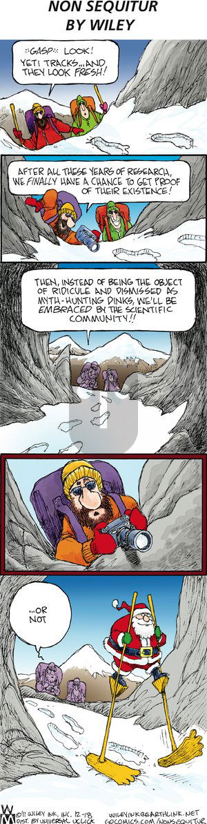 Non Sequitur on Sunday December 18, 2011 Comic Strip