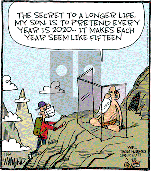 Reality Check on Saturday November 14, 2020 Comic Strip