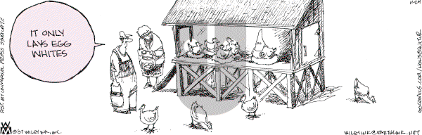 Non Sequitur - Saturday November 24, 2007 Comic Strip