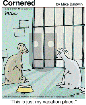 Cornered on Thursday June 24, 2021 Comic Strip