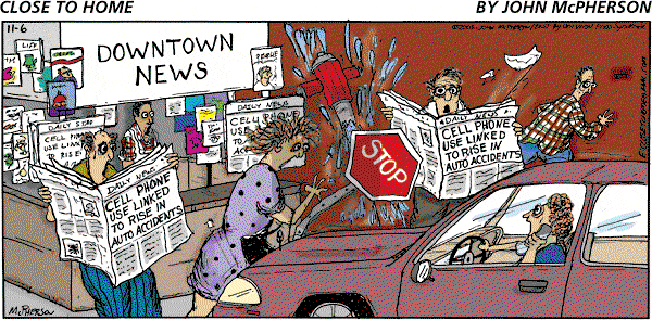 Close to Home - Sunday November 6, 2005 Comic Strip
