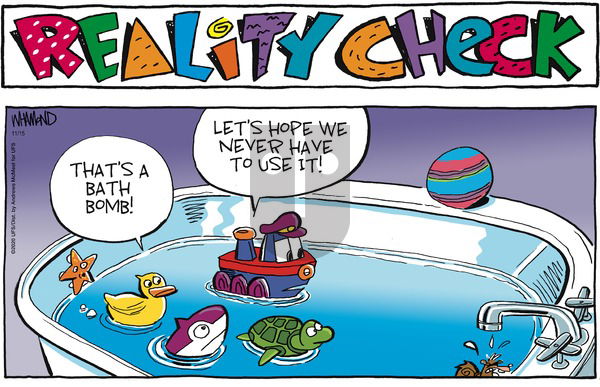 Reality Check on Sunday November 15, 2020 Comic Strip