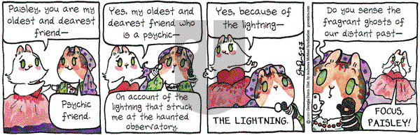 Breaking Cat News on Wednesday May 27, 2020 Comic Strip