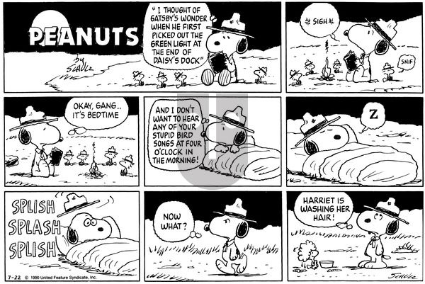 Peanuts on Sunday July 22, 1990 Comic Strip