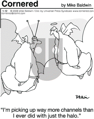 Cornered on Saturday January 12, 2008 Comic Strip