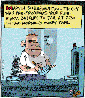 Reality Check on Thursday January 20, 2011 Comic Strip