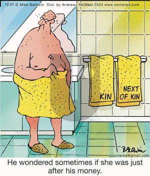 Cornered on Friday December 27, 2024 Comic Strip