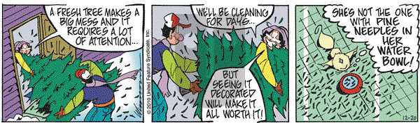 Rose is Rose on Monday December 20, 2010 Comic Strip