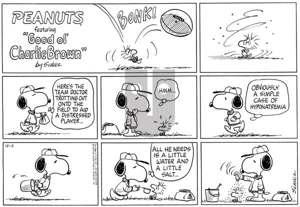 Peanuts on Sunday December 2, 1973 Comic Strip
