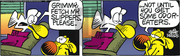 Mother Goose and Grimm on Wednesday June 4, 2025 Comic Strip