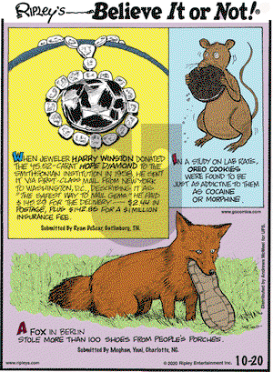 Ripley's Believe It or Not on Tuesday October 20, 2020 Comic Strip