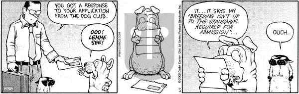 Get Fuzzy on Wednesday June 7, 2000 Comic Strip