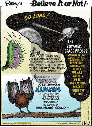 Ripley's Believe It or Not on Saturday November 17, 2012 Comic Strip