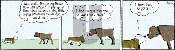 Fred Basset on Wednesday March 26, 2025 Comic Strip