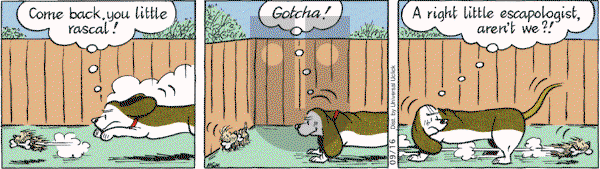 Fred Basset on Thursday September 16, 2010 Comic Strip