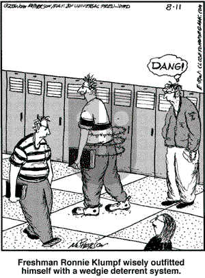 Close to Home on Friday August 11, 2006 Comic Strip