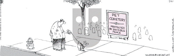 Non Sequitur on Thursday July 21, 2005 Comic Strip
