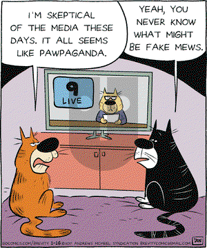 Brevity on Monday January 16, 2017 Comic Strip